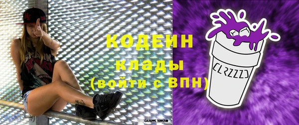 молекула духа Новодвинск