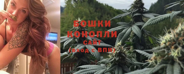 молекула духа Новодвинск