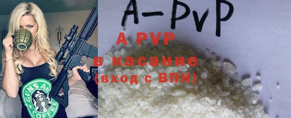 молекула духа Новодвинск