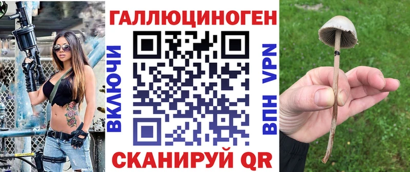 Галлюциногенные грибы Psilocybe  маркетплейс телеграм  Нурлат 